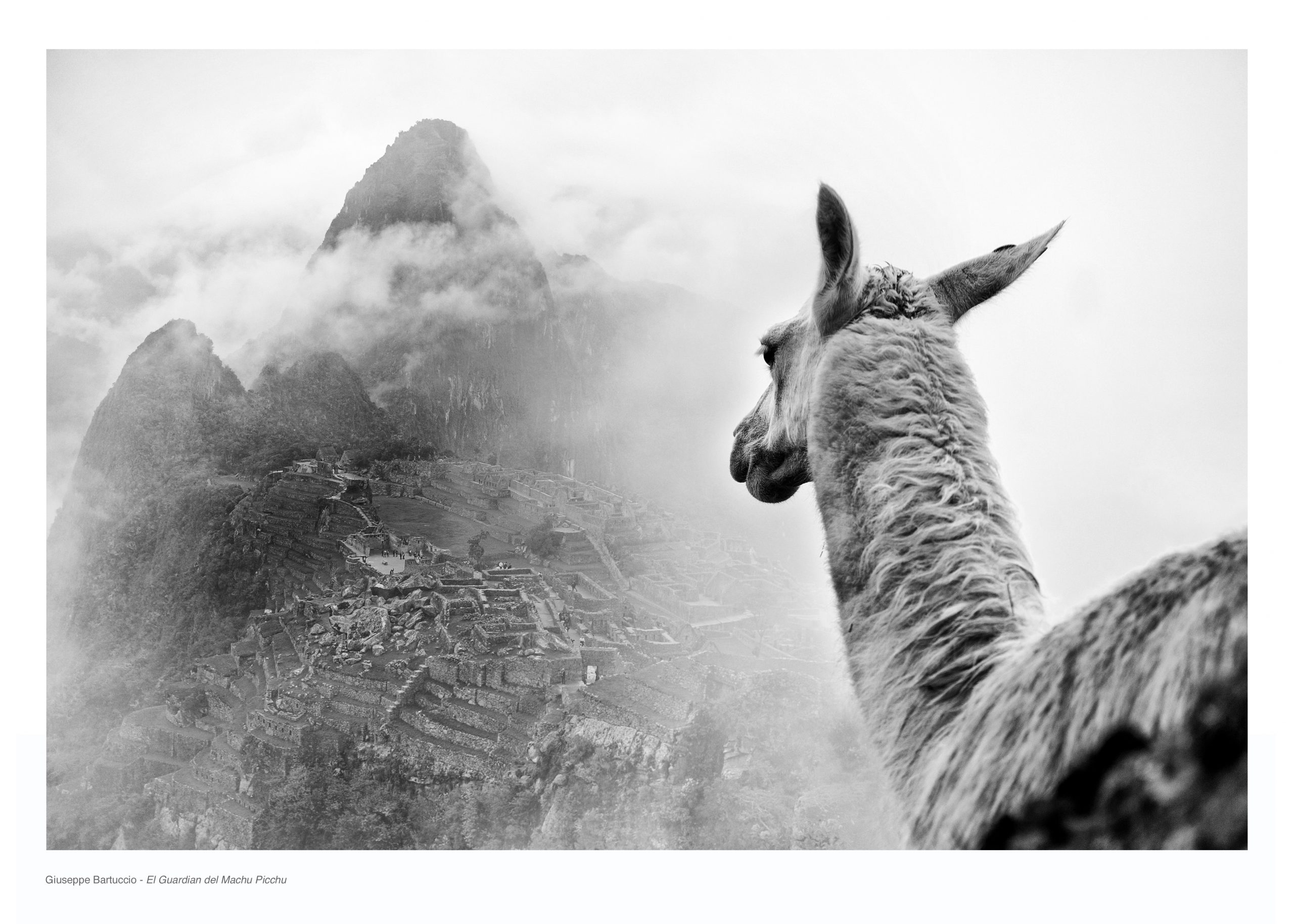 Giuseppe Bartuccio - El Guardian del Machu Picchu
