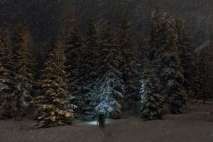 Alessandro Servalli - Alpine Nights