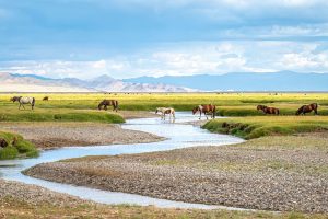 Loris Delvecchio - Mongolia