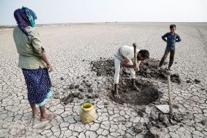 Roberto Gregori - salt for life