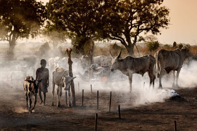 13 Lโinfanzia perduta dei bambini Mundari