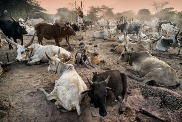 4 L’infanzia perduta dei bambini Mundari