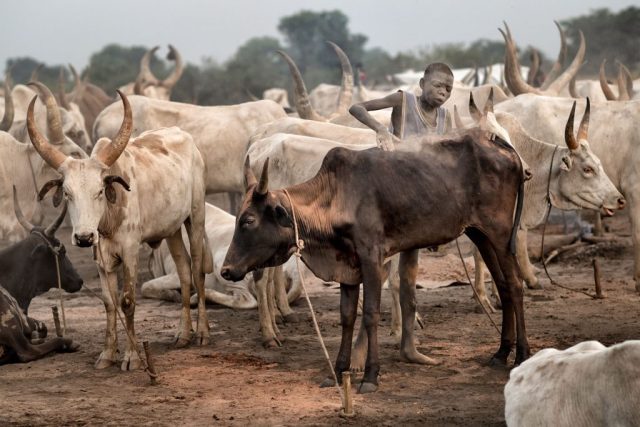 6 Lโinfanzia perduta dei bambini Mundari