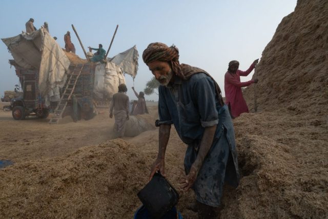 Cattedrali su ruote – 13
